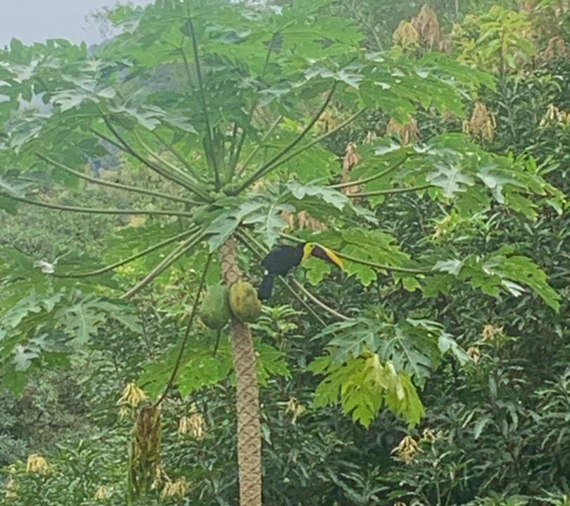 Photo of Outdoor in Garabito