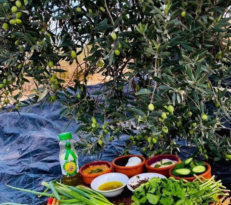 Photo of Outdoor in Wadi Musa