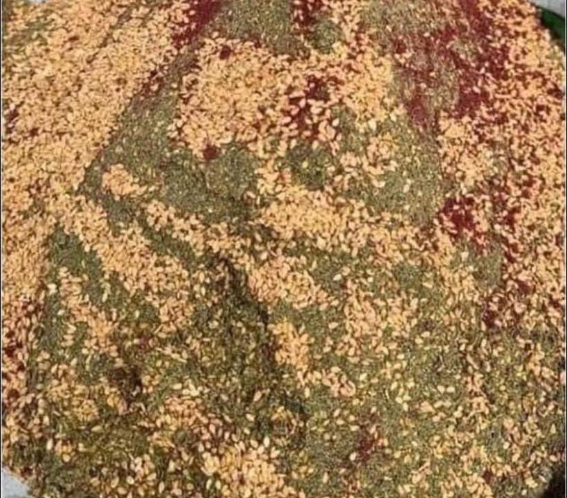Photo of Others in Wadi Musa