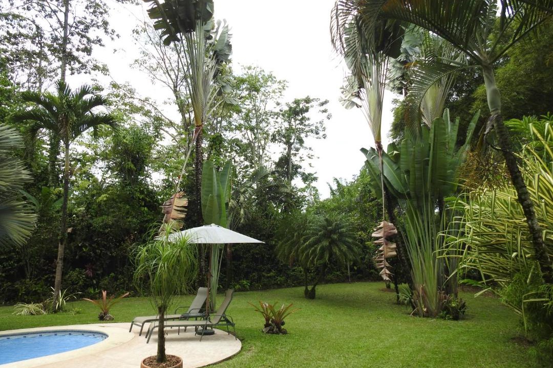 Photo of Others in Cahuita