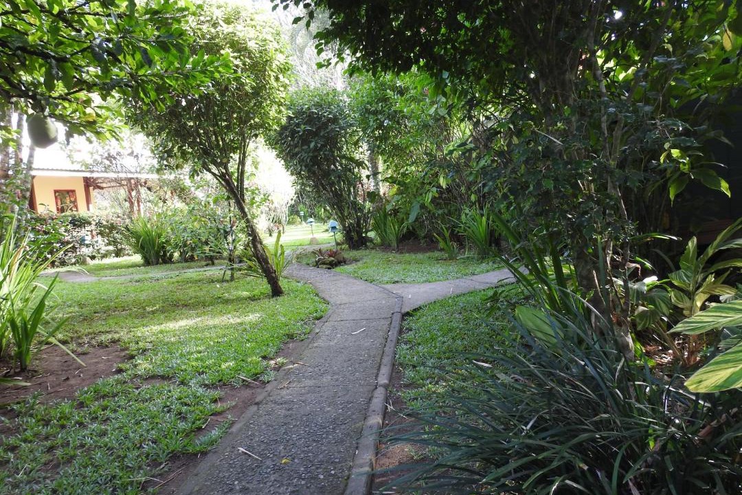 Photo of Others in Cahuita