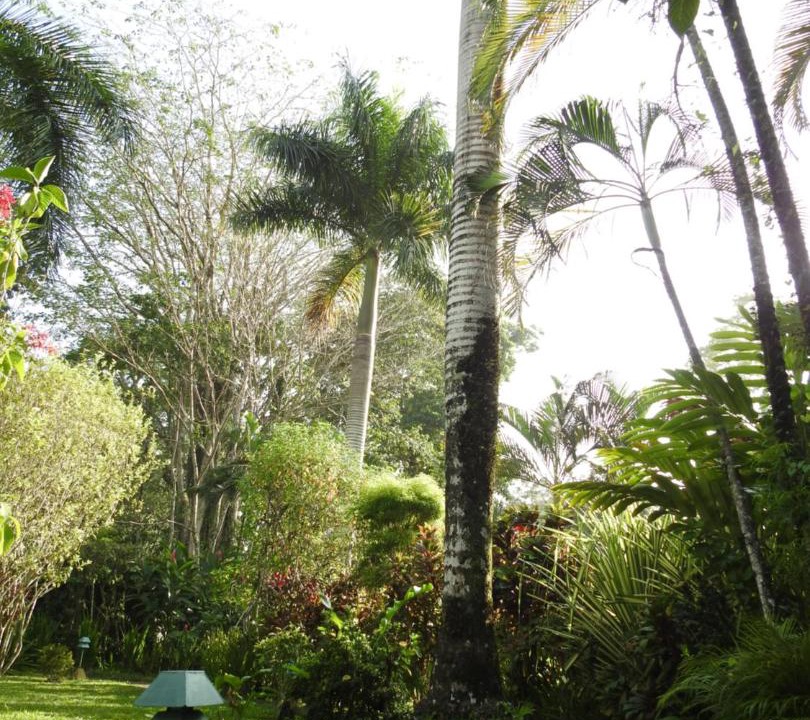 Photo of Others in Cahuita
