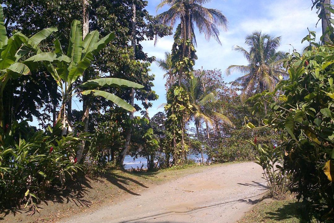 Photo of Others in Cahuita