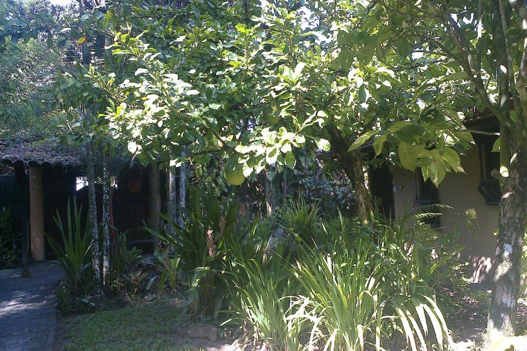 Photo of Others in Cahuita