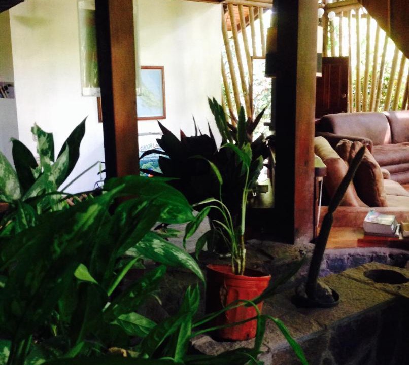 Photo of Others in Puerto Jimenez