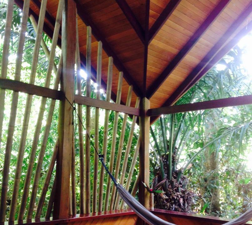 Photo of Others in Puerto Jimenez