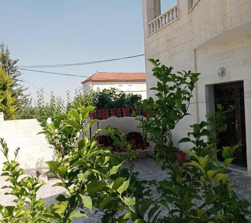 Photo of Others in Jerash