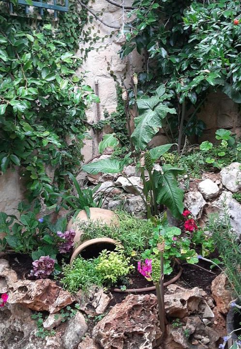Photo of Outdoor in Safed