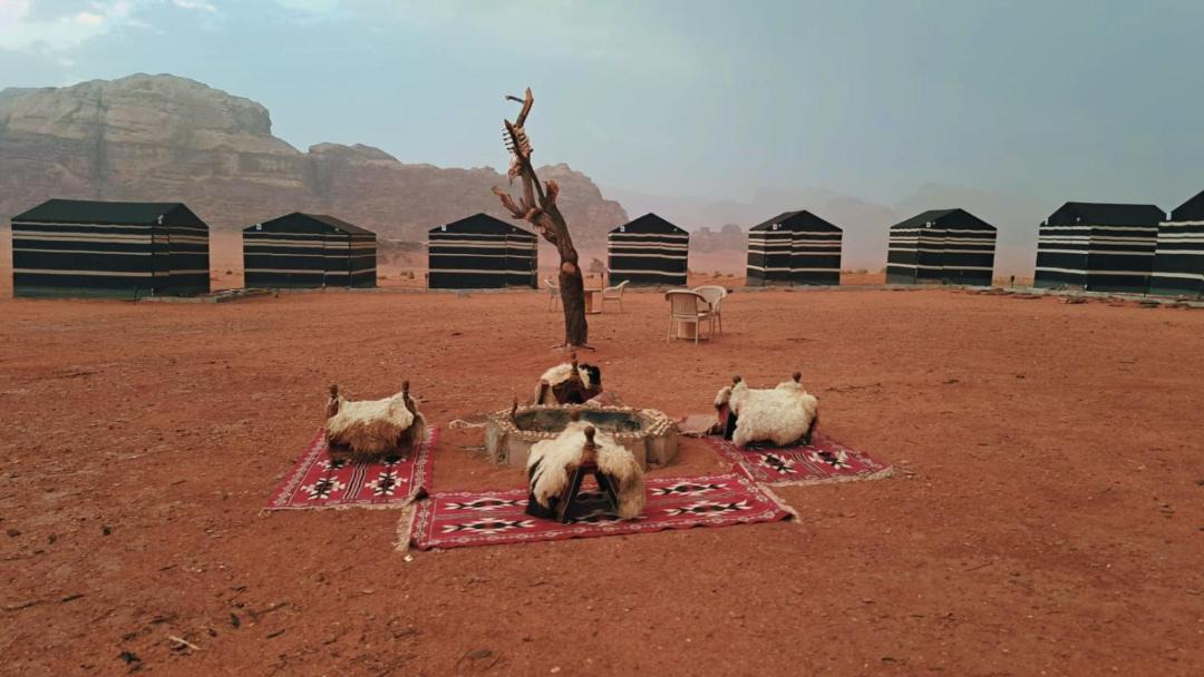 Photo of Others in Wadi Rum