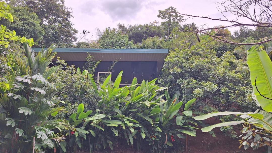 Photo of Others in Dominical