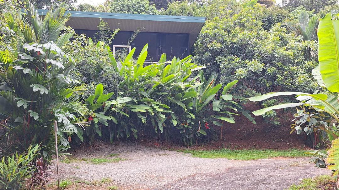 Photo of Others in Dominical