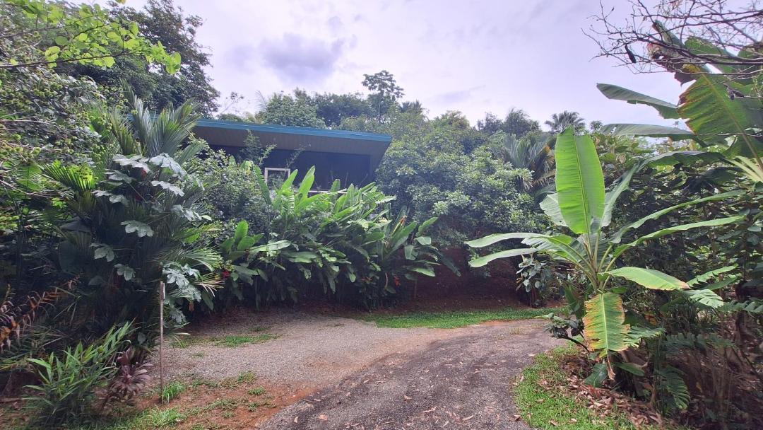 Photo of Others in Dominical