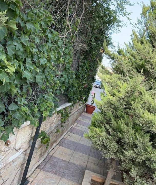 Photo of Others in Irbid