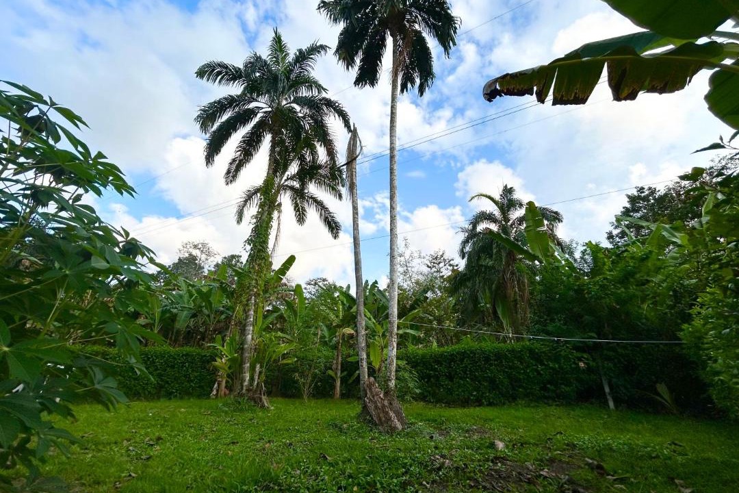Photo of Others in Cahuita