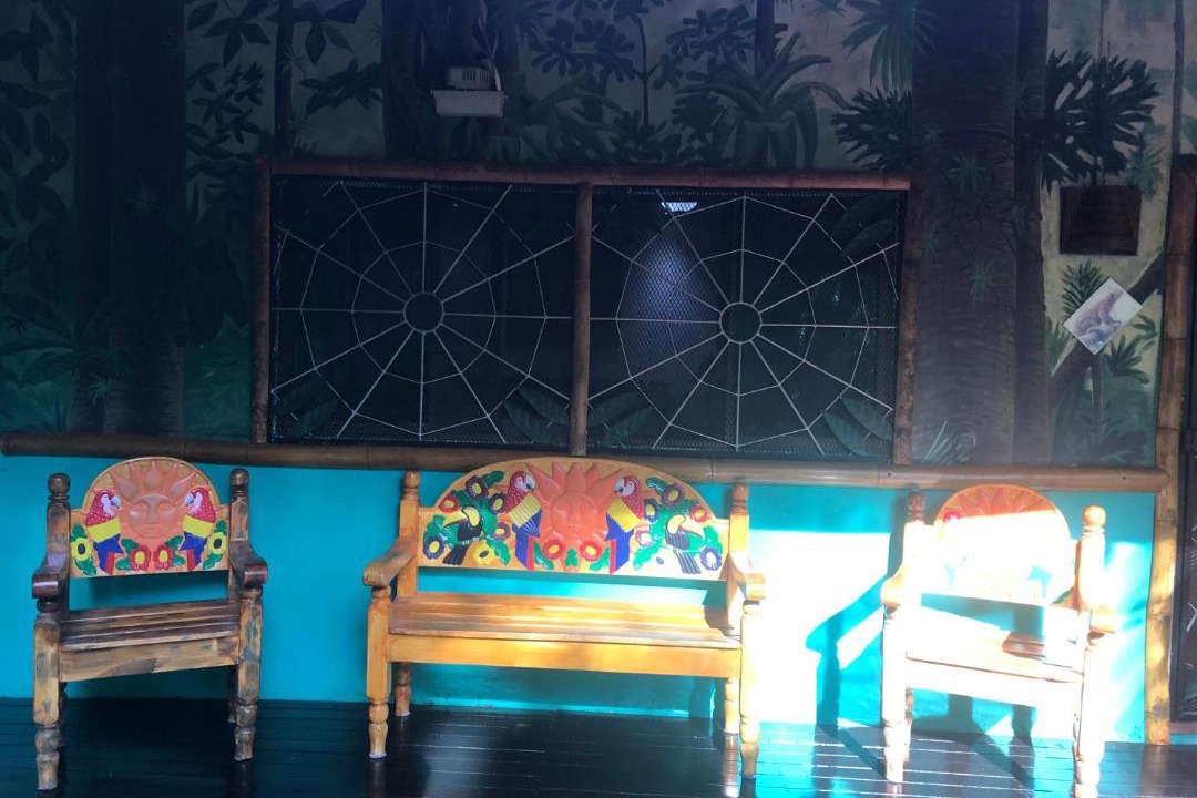Photo of Others in Puerto Jimenez