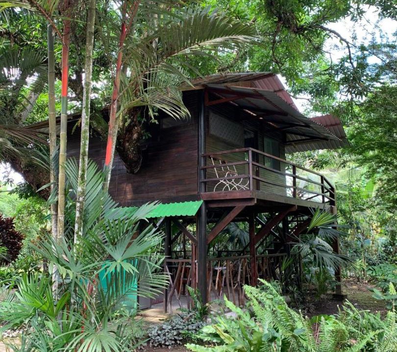 Photo of Others in Cahuita