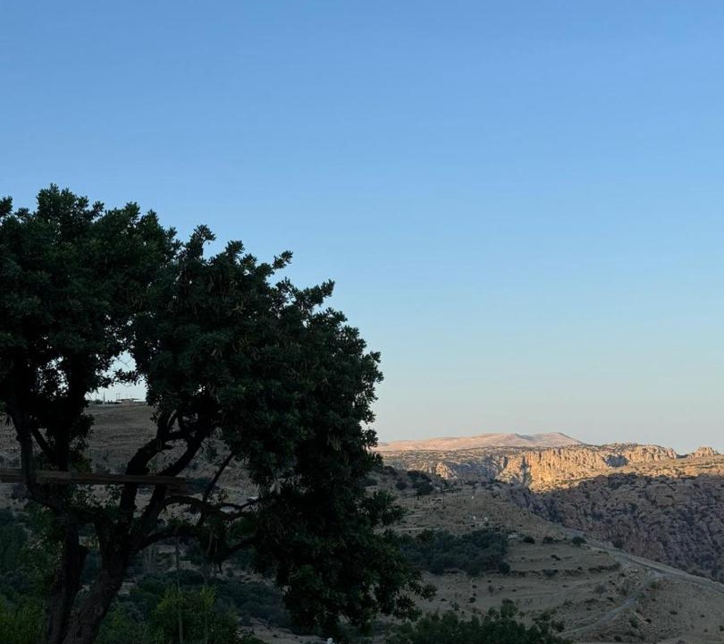 Photo of Others in Dana