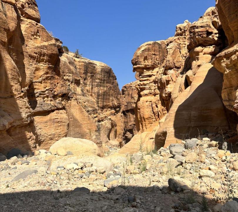 Photo of Others in Dana