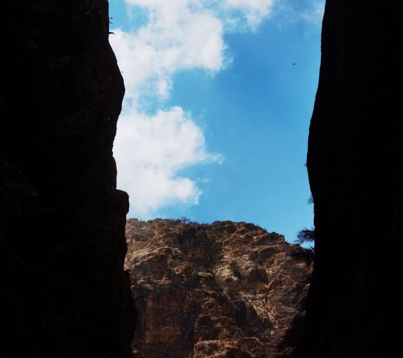 Photo of Others in Dana