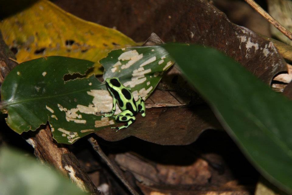 Photo of Others in Manzanillo