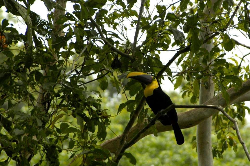 Photo of Others in Manzanillo