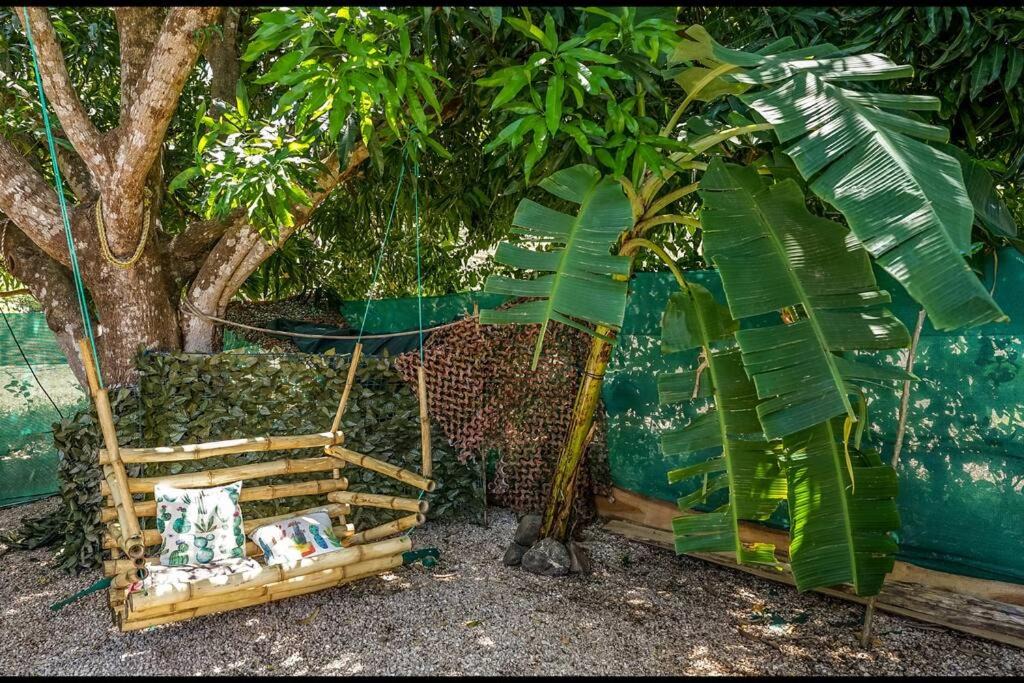 Photo of Others in Matapalo