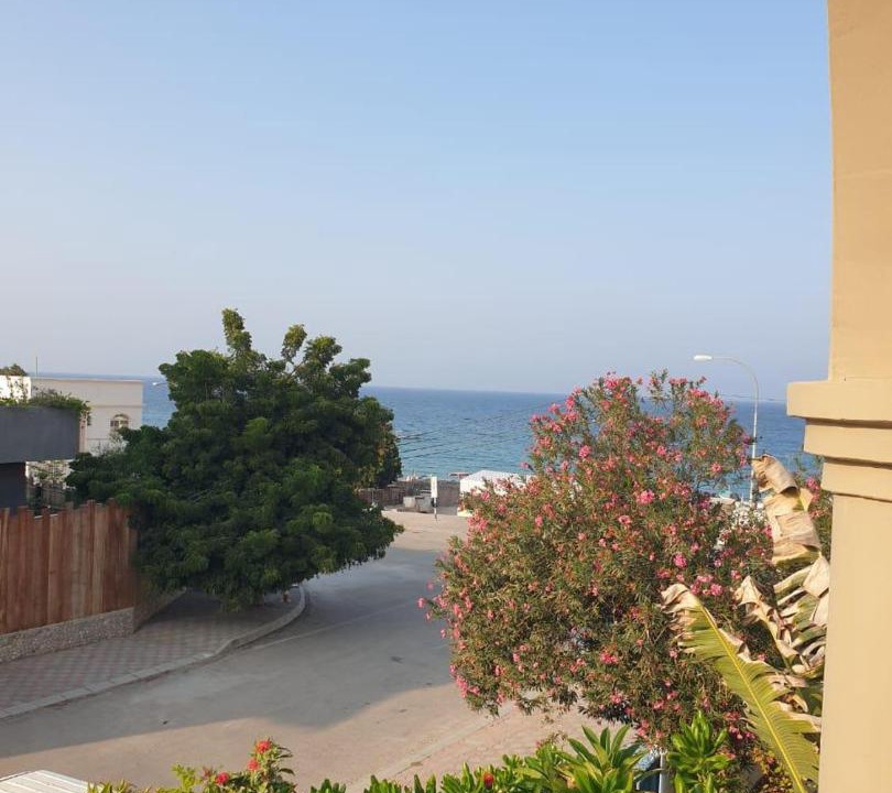 Photo of Others in Muscat