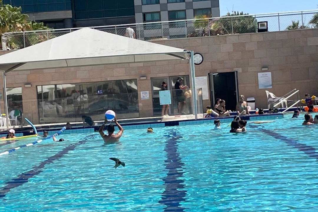 Photo of Others in Herzliya Pituach