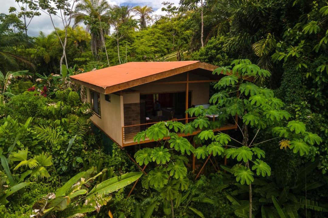 Photo of Others in Puerto Jimenez