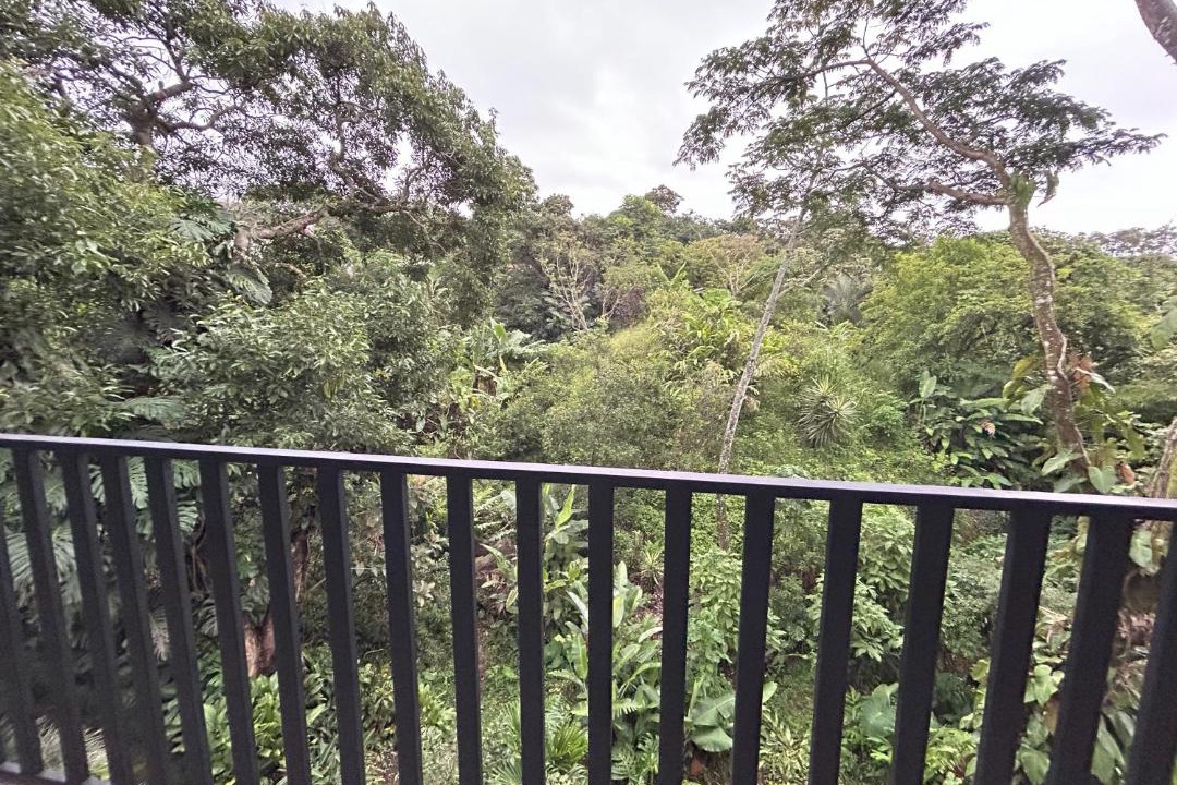 Photo of Others in Alajuela