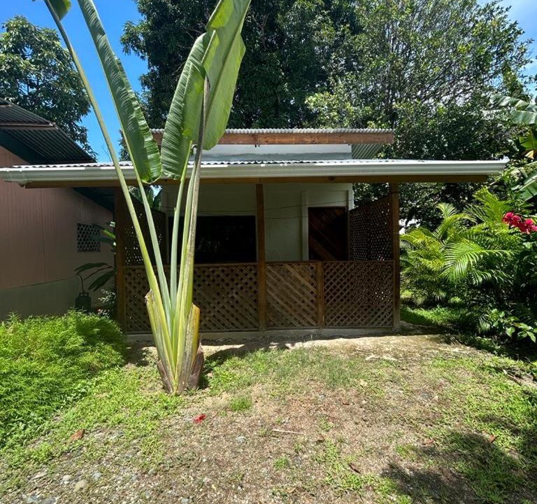 Photo of Others in Uvita