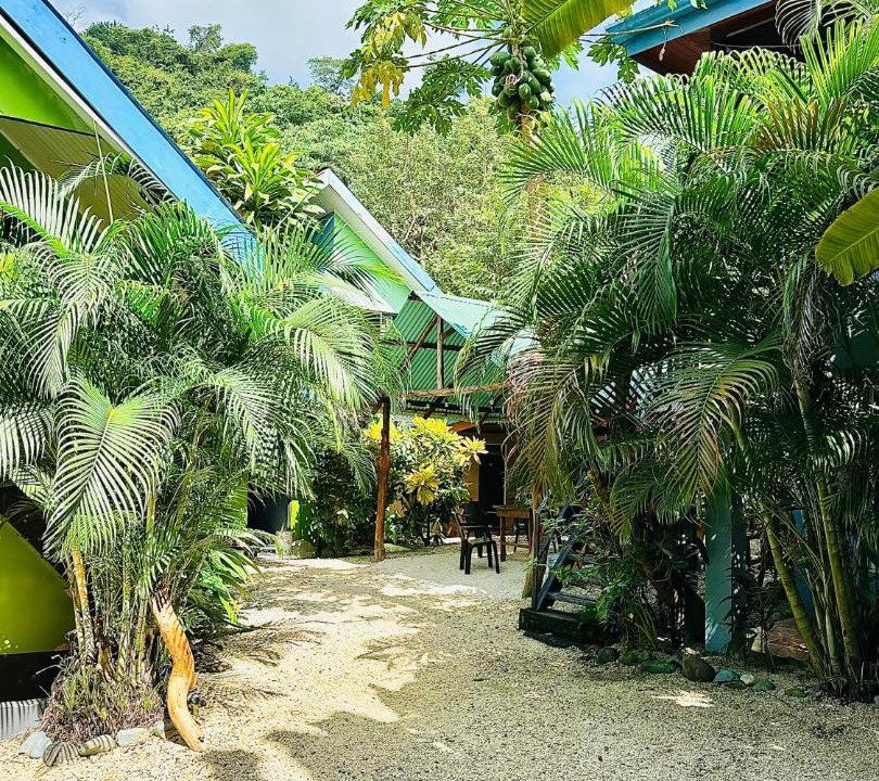Photo of Others in Santa Teresa