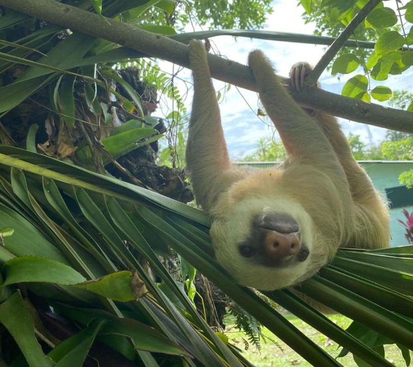 Photo of Others in Cahuita