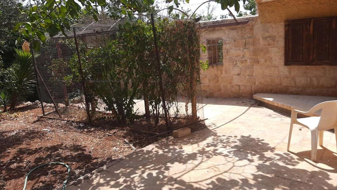 Photo of Others in Safed