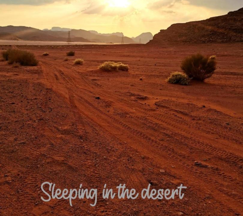 Photo of Others in Wadi Rum