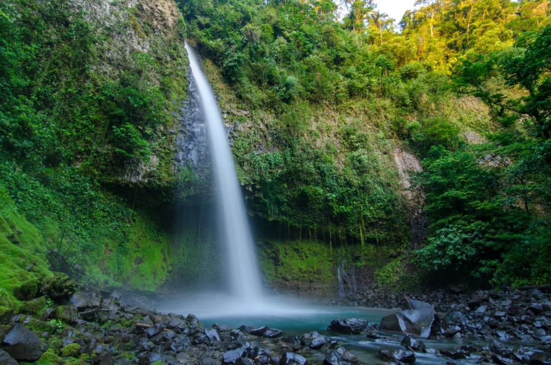 Photo of Others in La Fortuna