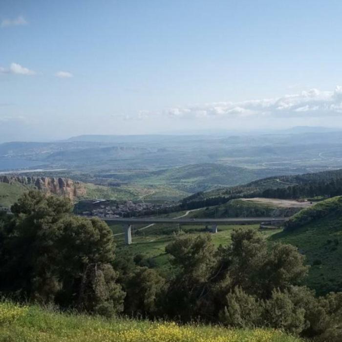 Photo of Others in Safed