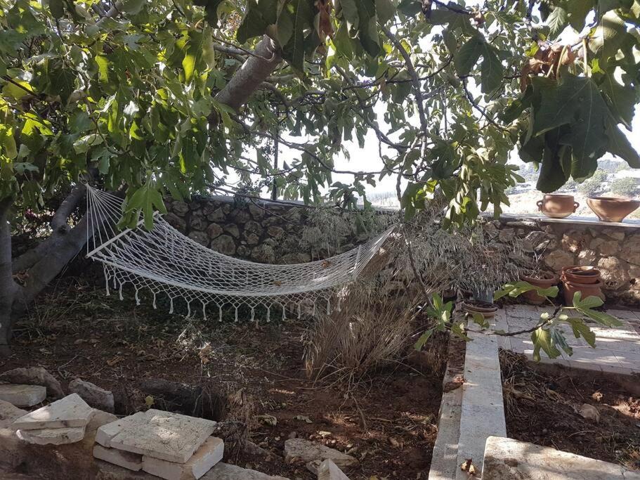 Photo of Others in Safed