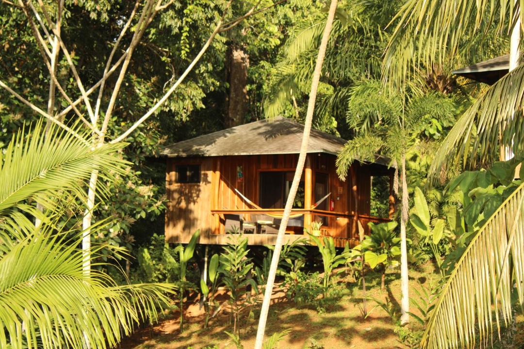 Photo of Others in Drake Bay