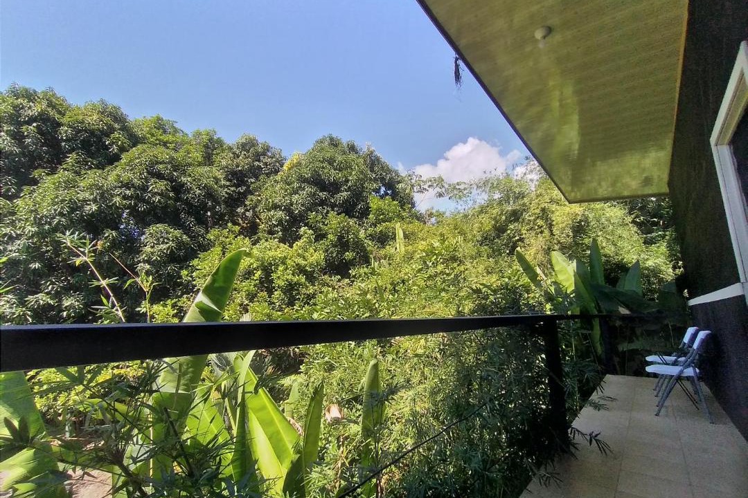 Photo of Others in Dominical
