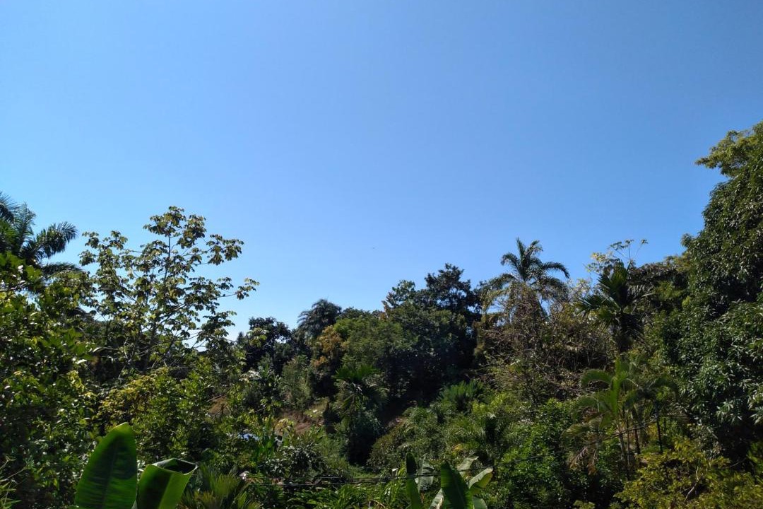 Photo of Outdoor in Dominical