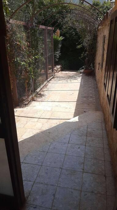 Photo of Others in Safed