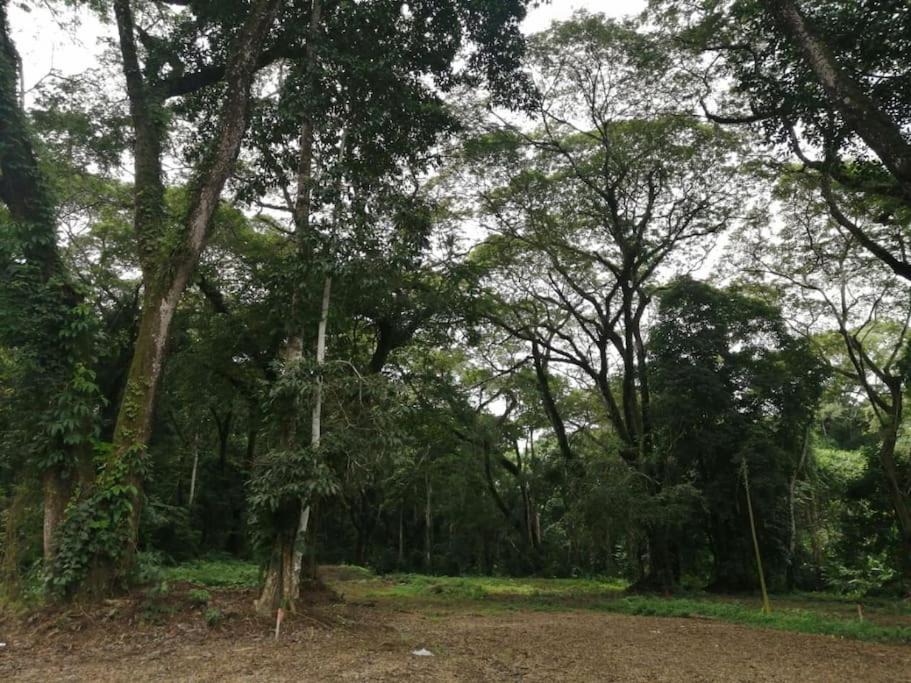 Photo of Others in Tarcoles