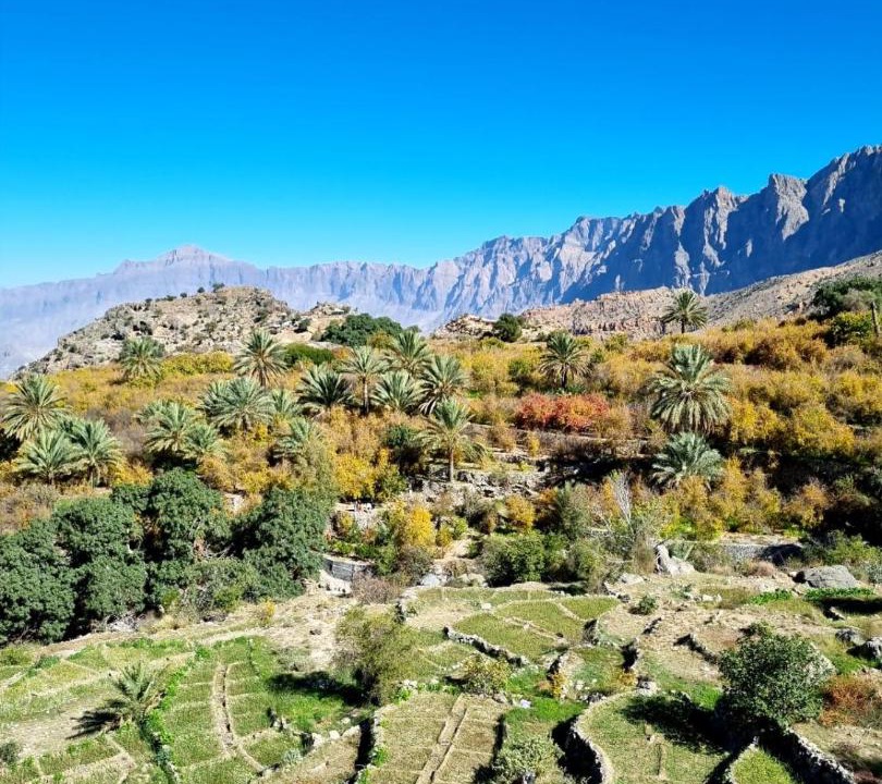 Photo of Others in Wadi Bani Kharus