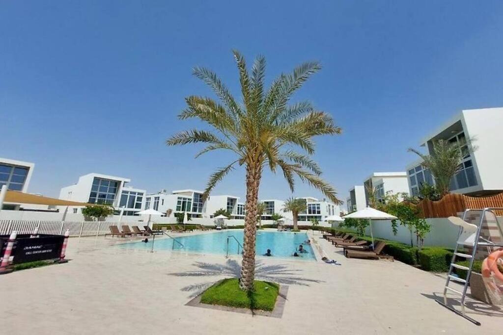 Photo of Others in Dubai
