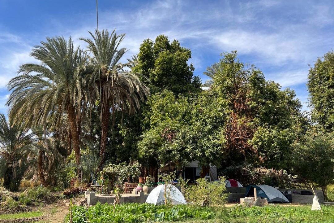 Photo of Others in Aswan