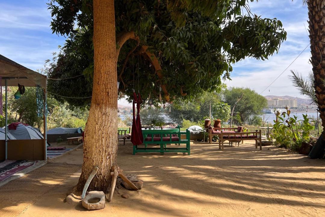Photo of Others in Aswan