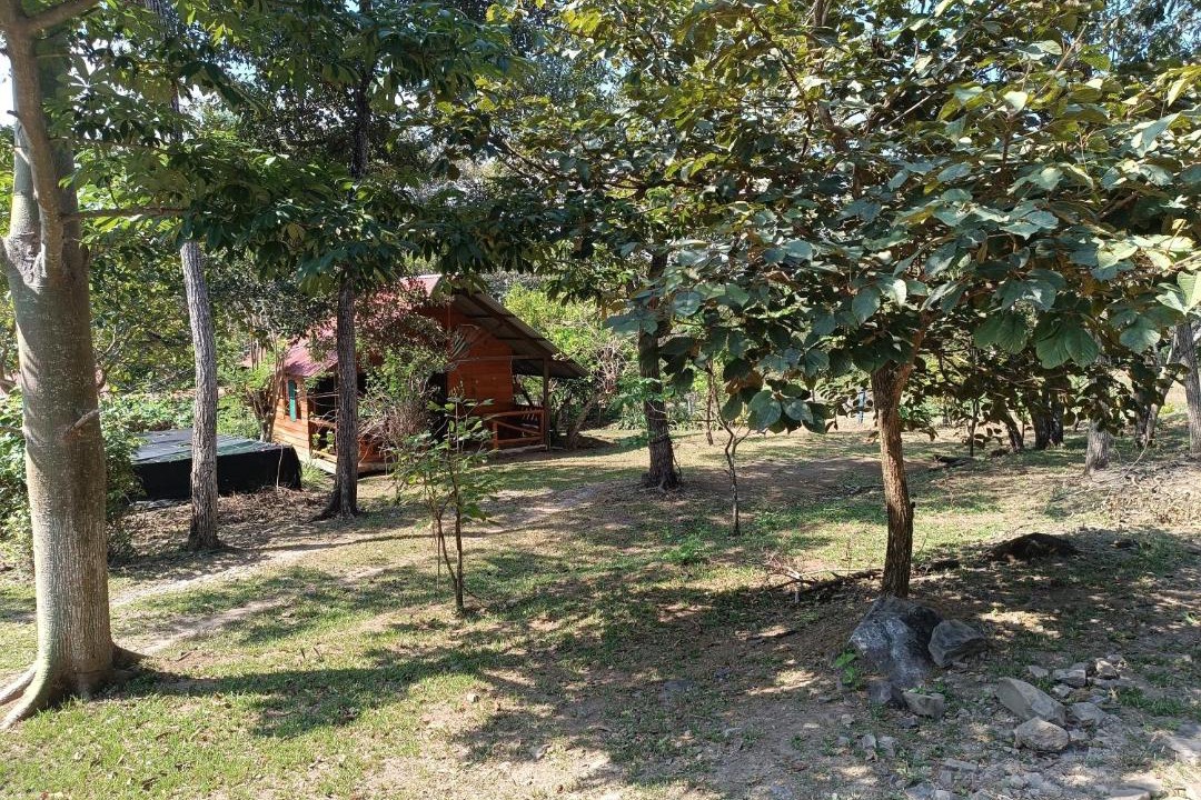 Photo of Others in Curubande