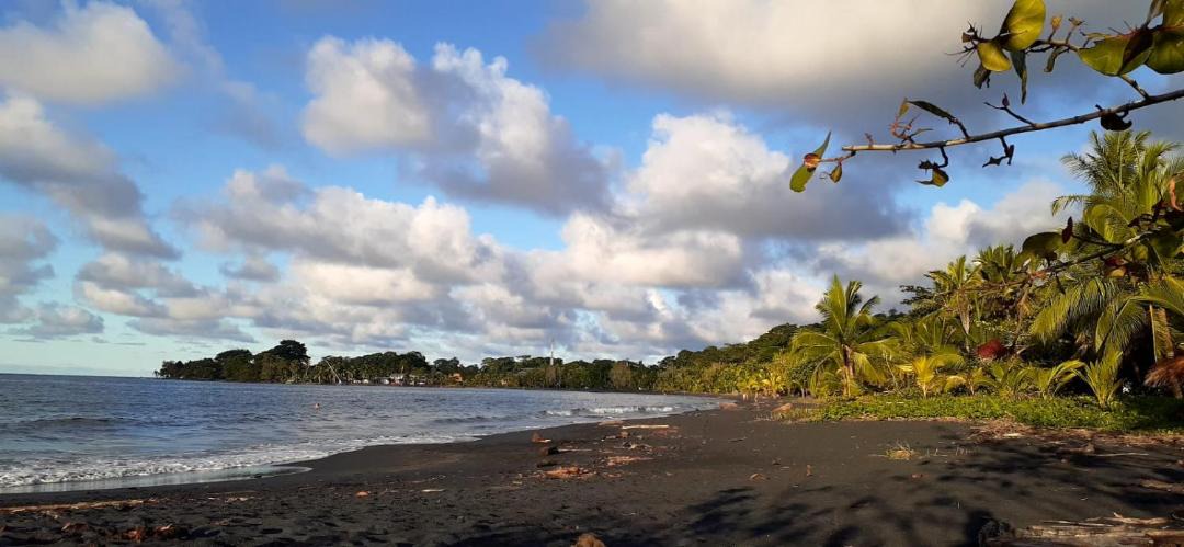 Photo of Others in Puerto Viejo de Talamanca