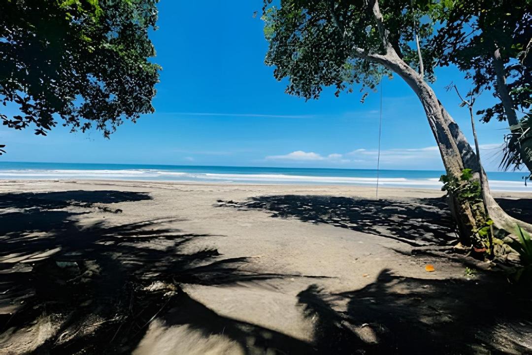 Photo of Others in Manzanillo